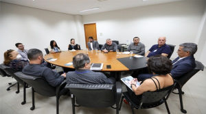 Integrantes da equipe de transição de mandato do TCE/TO participam de reunião