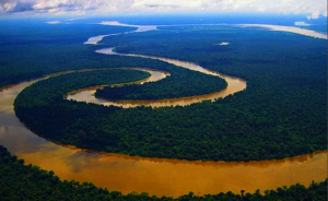 Carta pela Amazônia traz série de ações dos Tribunais de Contas em defesa do meio ambiente