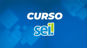 Inscrições para o curso sobre o Sistema Eletrônico de Informações seguem abertas