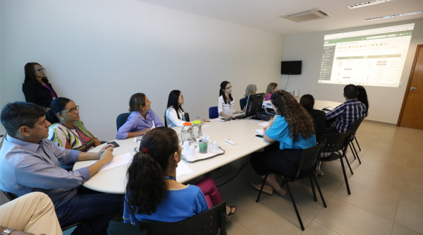 Equipe do Corpo Especial de Auditores é capacitada para operacionalizar o sistema SEI